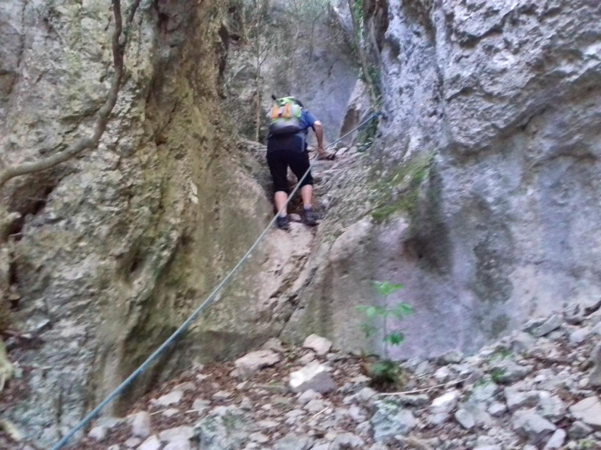 Gites Du Combeau Saint-Maurice-d'Ibie Ngoại thất bức ảnh